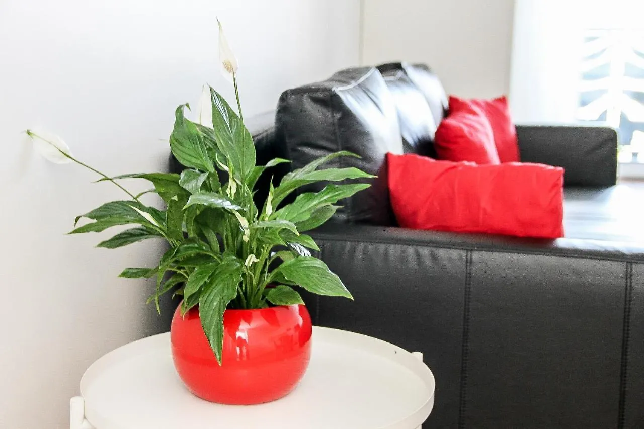 Grand T1 Moderne Jardin Pres De Cdg Apartment Le Thillay